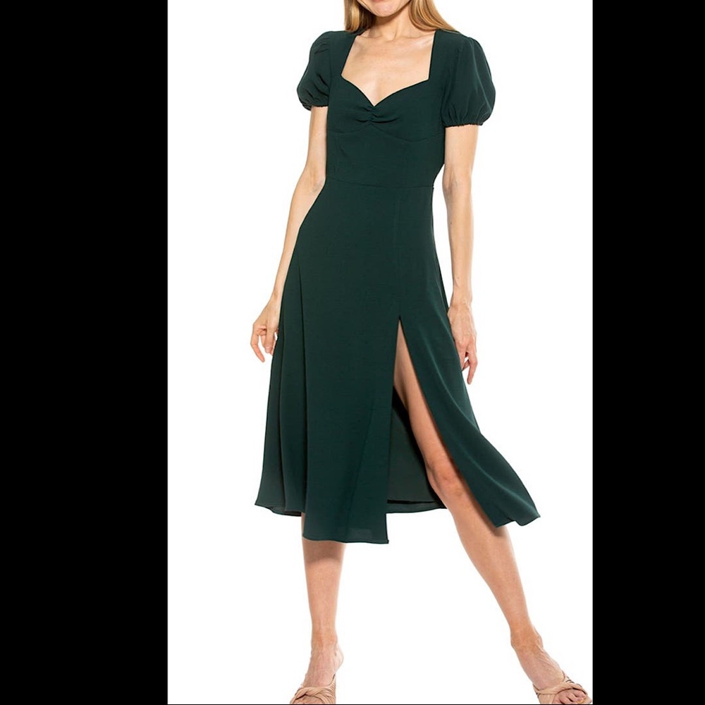 Alexia Admor fit and flare dress